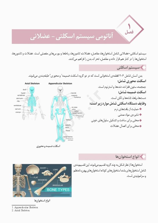 دانستنی‌های کمک جراح در جراحی‌های ارتوپدی