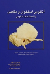 آناتومی استخوان و مفاصل با اصطلاحات آناتومی