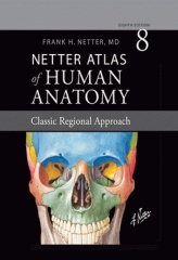 اطلس آناتومی نتر ویرایش هشتم 2023 گلاسه با قاب نفیس | 2023 Atlas of Human Anatomy Netter