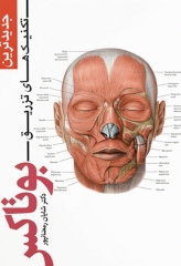 جدیدترین تکنیک‌های تزریق بوتاکس تالیف دکتر شایان رمضانپور