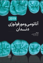آناتومی و مورفولوژی دندان 2019