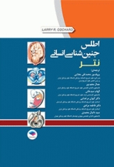 اطلس جنین‌شناسی انسانی نتر 2012