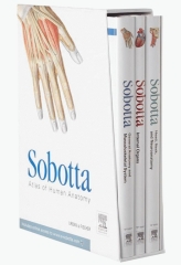 اطلس آناتومی زوبوتا | Atlas of Human Anatomy Sobotta 2011