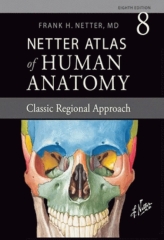 اطلس آناتومی نتر ویرایش هشتم 2023 | Atlas of Human Anatomy Netter